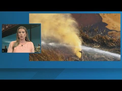 Impacts to wildlife as oil leak continues in Plaquemines Parish, Louisiana