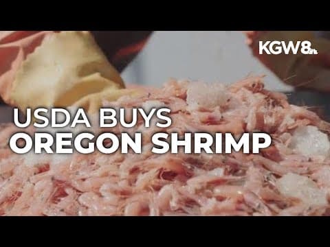 Gov. Kotek applauds USDA decision to purchase $16 million in Oregon pink shrimp