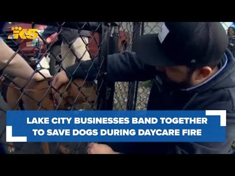 Community rallies to rescue all dogs after Seattle doggy daycare fire