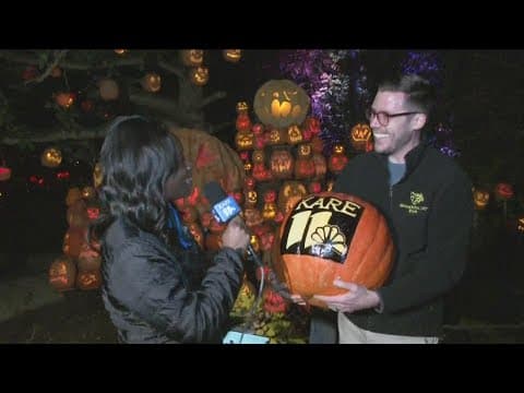 Taking a peek behind the scenes of the Jack-O-Lantern Spectacular