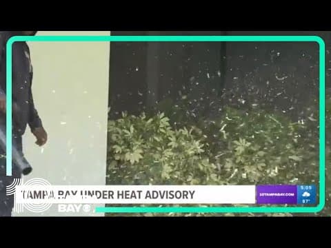 People coping with hot temperatures while Tampa Bay under heat advisory