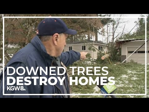 2 people dead, many Portland area homes damaged after high winds knock over trees