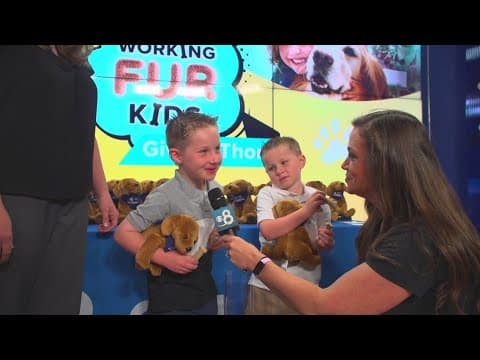 Meet Paxton | Helping launch a Resident Canine Therapy Program at Rady Children’s in San Diego