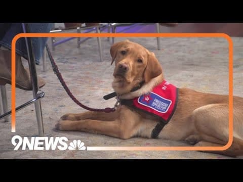 Avalanche help train future Freedom Service Dog