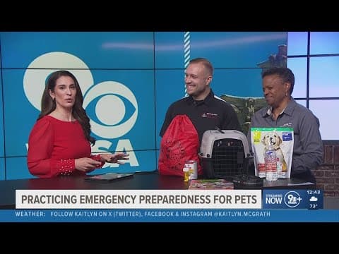 How to keep your pets safe in an emergency