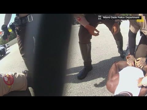 Body camera footage shows Dolphin's Tyreek Hill being detained