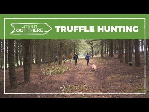 Taking a trip to hunt for truffle treasures in the northern Willamette Valley