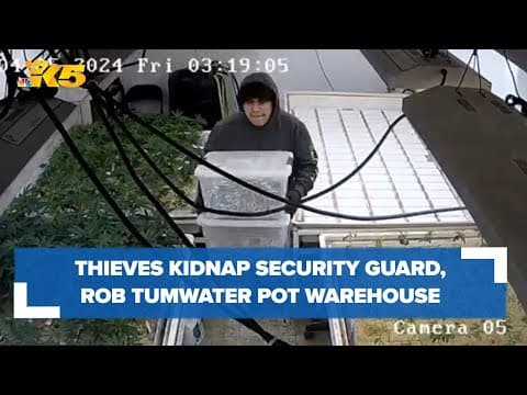 Tumwater police searching for cannabis warehouse robbers