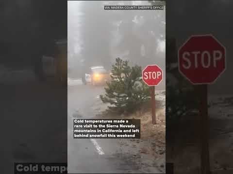 Dog days of summer or dead of winter? Snow fell in California's Sierra Nevadas on Aug. 24.
