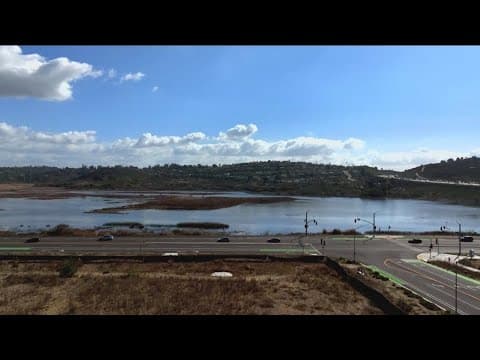 'Love Your Wetlands' day celebrates nature at Kendall-Frost Marsh Reserve