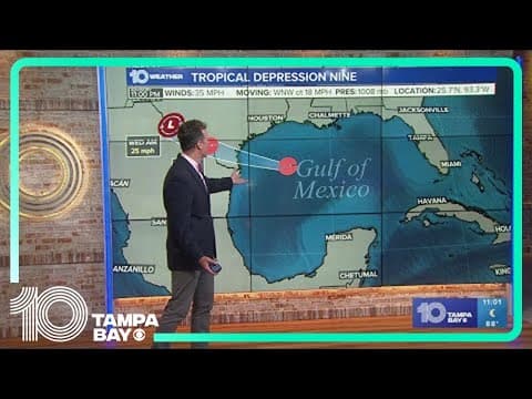 Tracking the Tropics: 11 p.m. Aug. 21, 2023