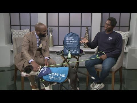 Louisiana SPCA Doggie Day Out on Valentine's Day