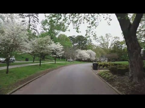 Katie Inman takes a drive through Dogwood Trails in Sequoyah Hills