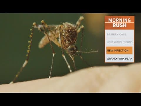 Another Texas city reports a case of West Nile
