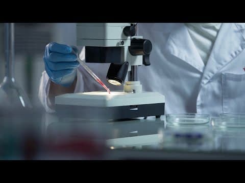 WATCH LIVE: Cold case body ID'd