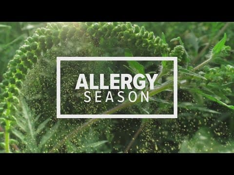 East Tennesseans brace for allergy season with tips from expert advice