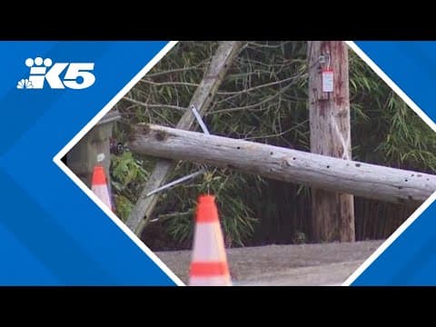 Power still out on parts of Bainbridge Island after windstorm