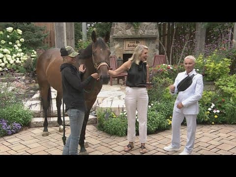 New purpose for retired race horses