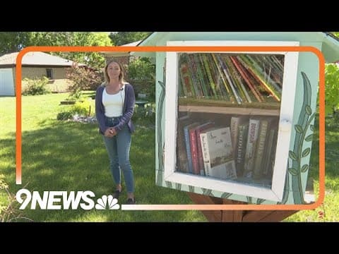Little Free Libraries cleared out in metro Denver communities