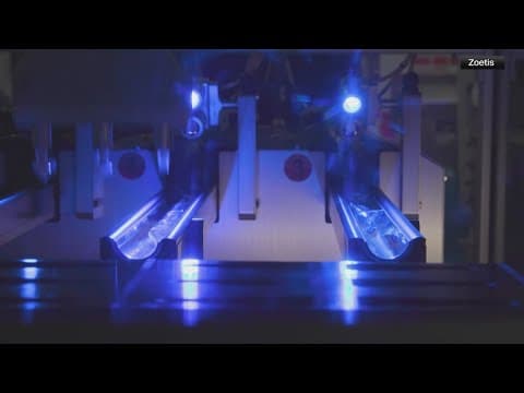 License issued to vaccine maker for bird flu