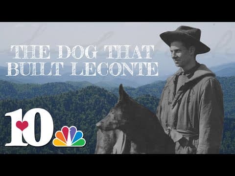 Cumberland Jack, the dog that built Mount LeConte