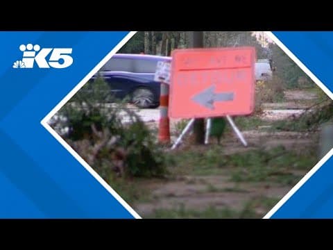 'All hands on deck': How Seattle responded to the bomb cyclone