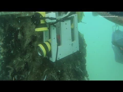 Underwater camera goes live under Scripps Pier
