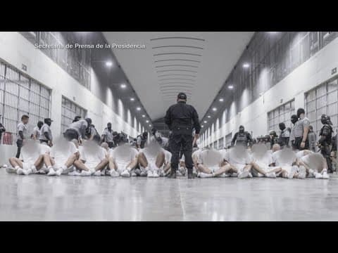 President Trump's border czar: "I don't care what the judges think"