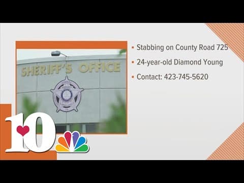 MCSO: 24-year-old stabbed in McMinn County