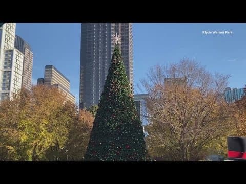 Klyde Warren Park tree to be lit in Dallas