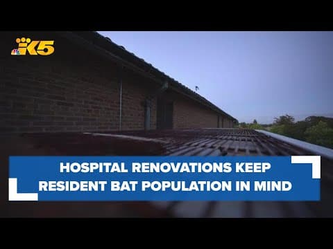 DHSH balancing Western State Hospital renovations with preservation of resident bats