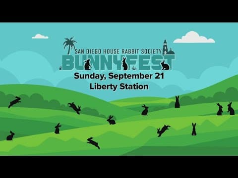 San Diego House Rabbit Society Bunnyfest | Sept 21