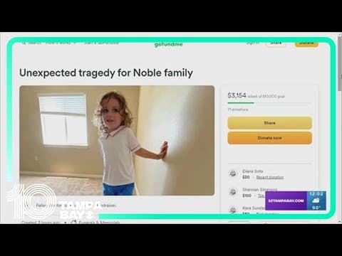 3-year-old hit, killed by driver after wandering away from home overnight in Hillsborough County