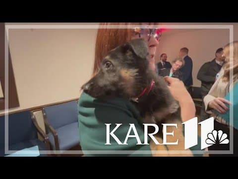 Proposed bill requires pet sellers, breeders to be transparent with buyers