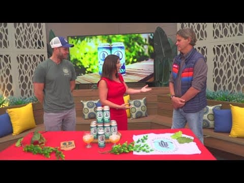 Pure Project announces the launch of Noc-Turtle, a new hazy IPA