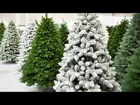 Real tree or fake tree: Experts say both holiday staples have pros and cons