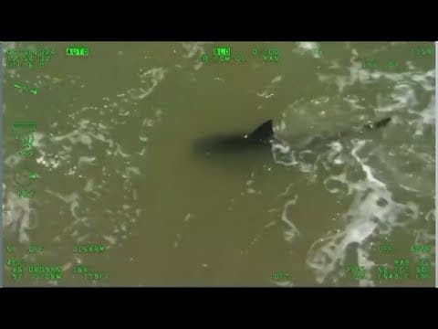 South Padre Island officials keeping watch after shark attacks on Fourth of July