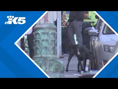 Multiple people injured in Seattle shooting