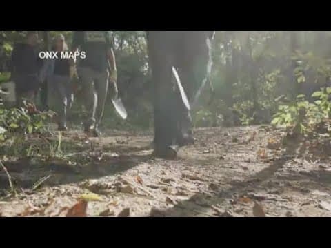 One Year After Helene: Restoring the Pisgah National Forest