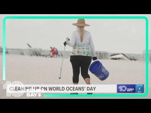 World Oceans Day brings environmental advocates to St. Pete Beach