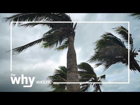 Why you should start preparing for hurricane season now?