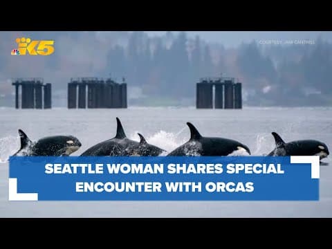 Woman spends night on beach in special encounter with southern resident orcas