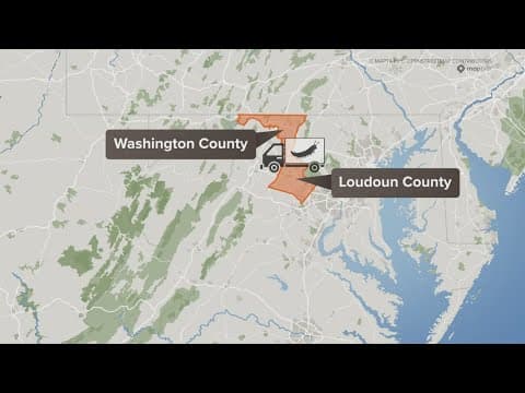 Garden Smart: Be on guard against the Box Tree Moth