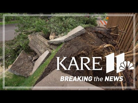 How Minneapolis park workers strike is impacting storm cleanup