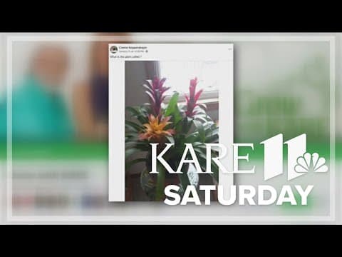 Your Grow with KARE questions: Saturday, Jan. 18, 2025