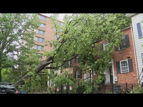Downed trees, power outages, damage from Thursday's storms
