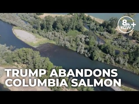 Trump administration pulls out of agreement to help restore salmon in Columbia River
