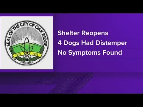 Oak Ridge Animal Shelter back open after dogs test positive for distemper