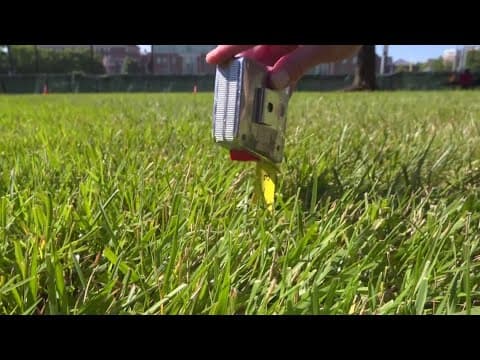 Tips for making sure your lawn survives a heat wave