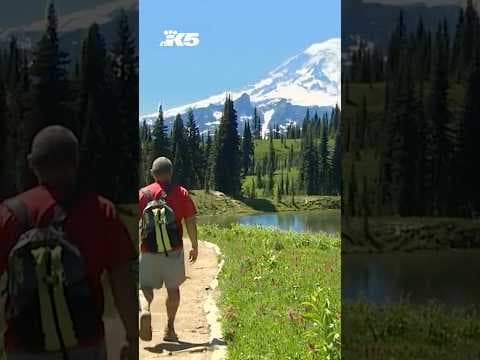 No water service at Paradise, Narada Falls in Mt. Rainier National Park